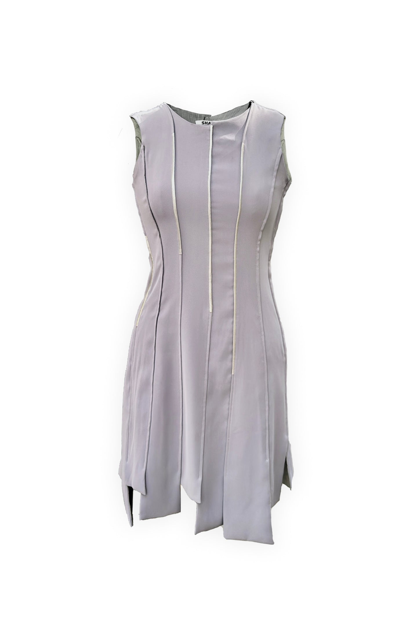 Silver Linings Panel Dress